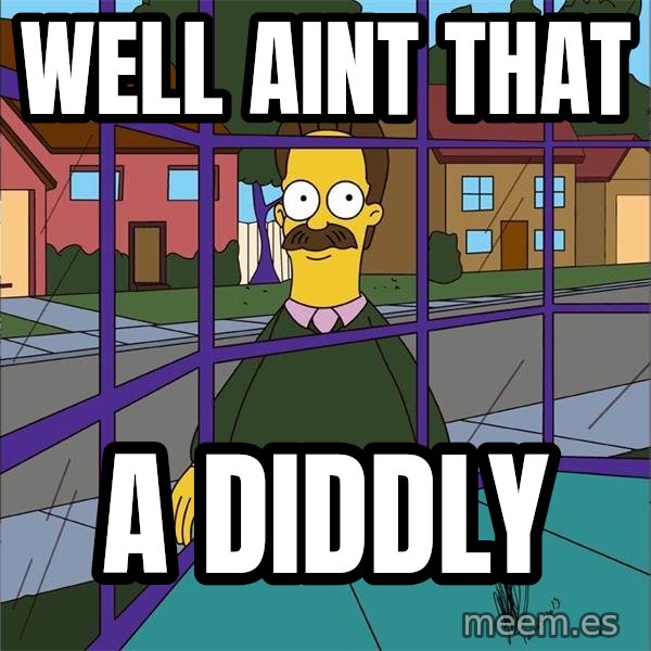 well aint that a diddly NED FLANDERS IS WATCHING YOU Meme Generator
