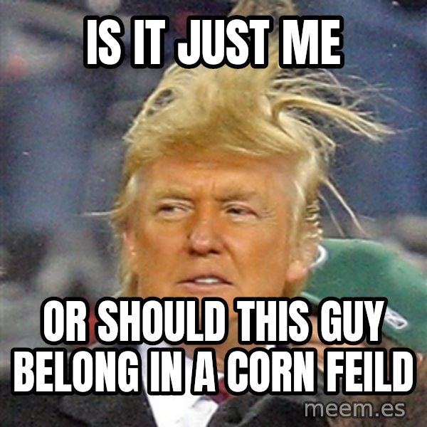 Is it just me Or should this guy belong in a corn feild Donald Trump
