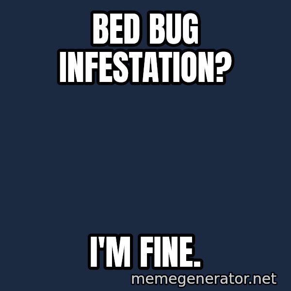 Bed Bug infestation? I'm fine. Fire Meme Generator
