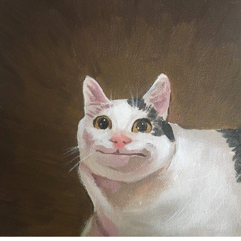 1080X1080 Cat Meme / When I cough, the cat quacks YouTube Bongo cat