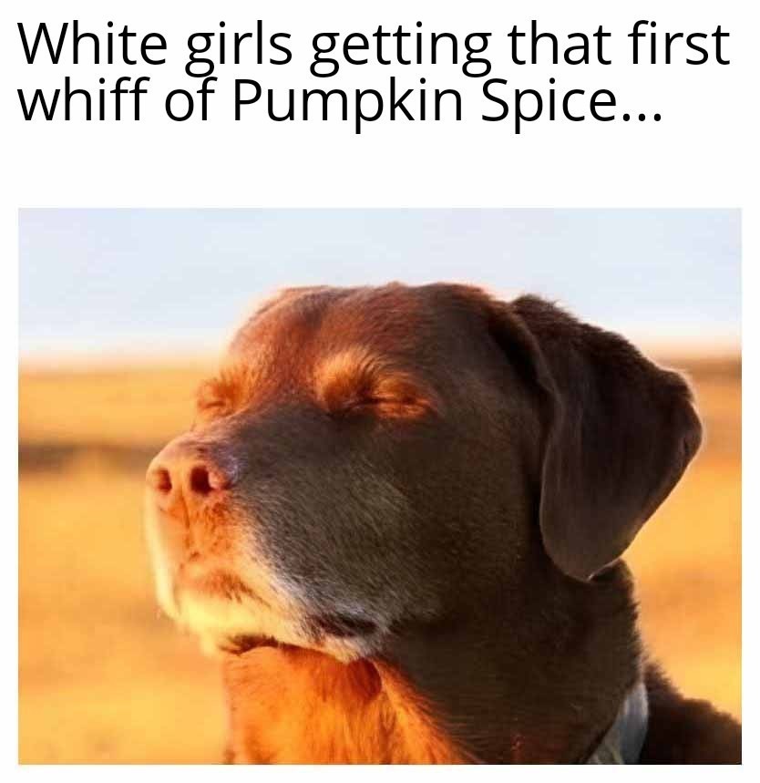 White girls getting that first whiff of Pumpkin Spice: