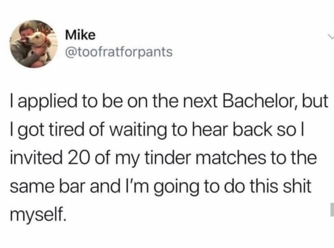 Mike @toofratforpants 1 applied to be on the next Bachelor; but 1 tired of waiting to hear back so / invited 20 of my tinder matches to the same bar and Im going to do this shit myself: got