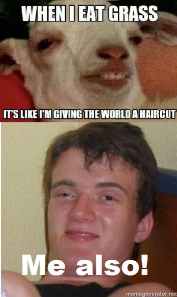 Weed Memes Funny Marijuana and Pot Pics High Guy Meme