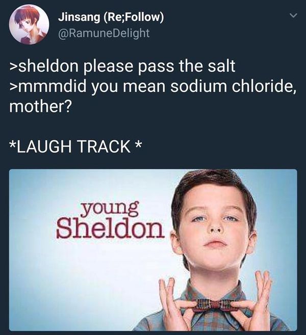 Big Bang Theory Meme Bazinga Pictures Funny Sheldon Cooper Meme
