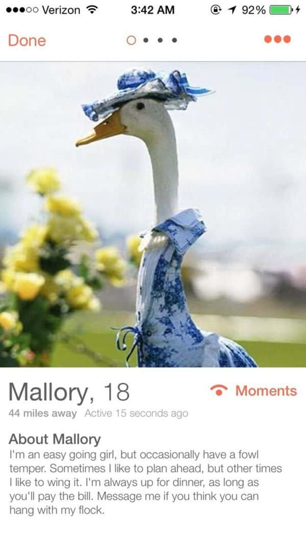 Best Tinder Bio Examples MemesBams
