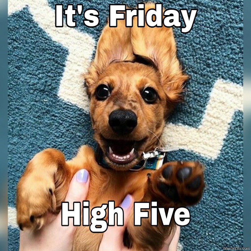 Its Friday Meme Friday Meme Pictures Photos Images And Pics For