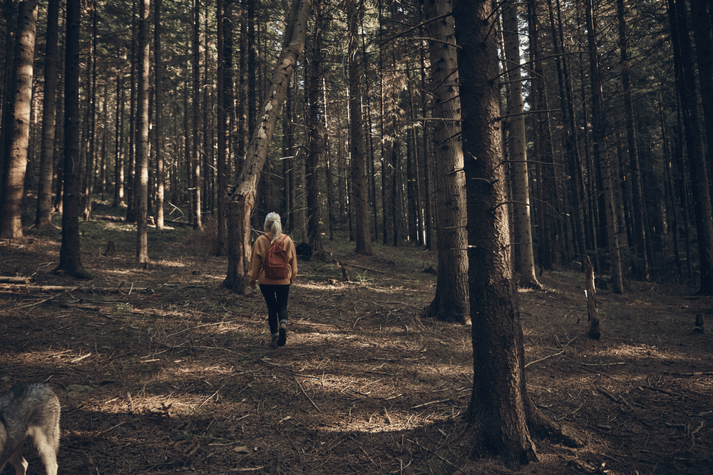 Enhance Your Gut Health with Forest Bathing MEM Nutrition & Wellness