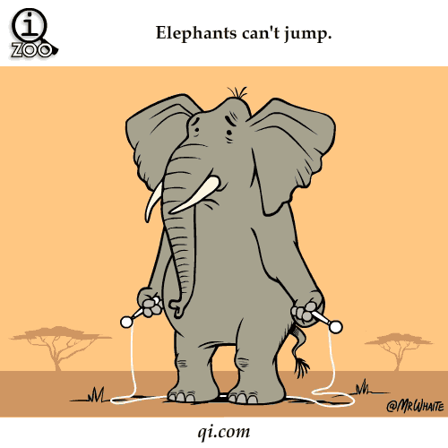 Amusing Animated Animal Facts (16 gifs). Memolition