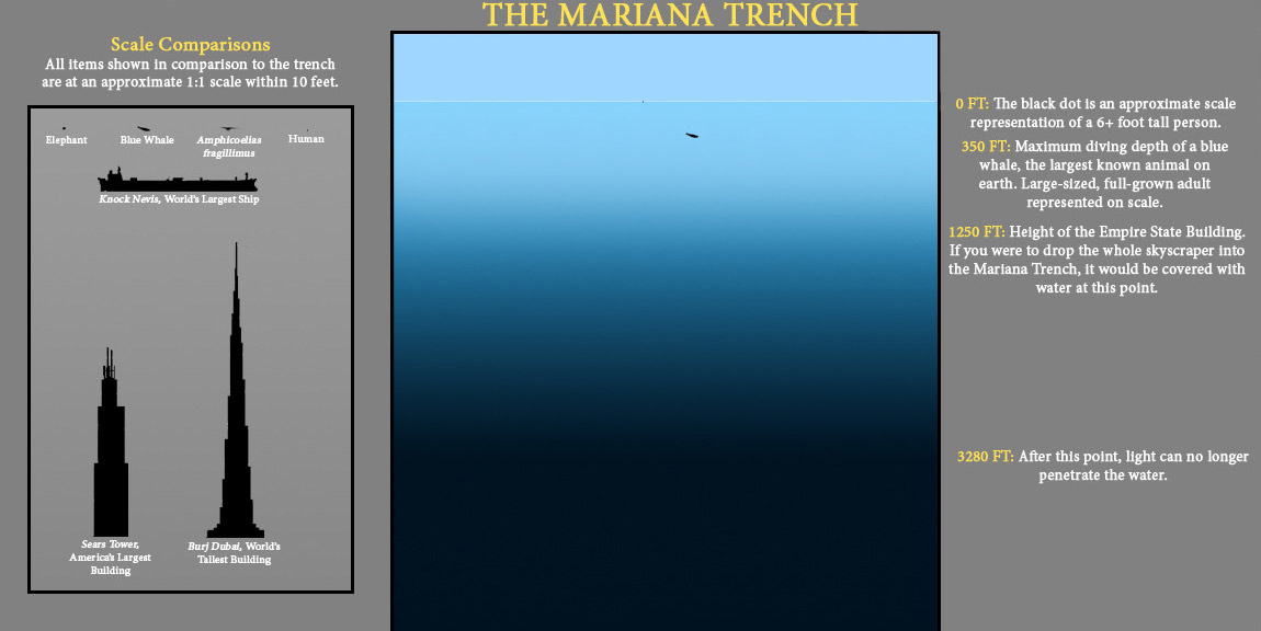 How deep is the ocean? memolition