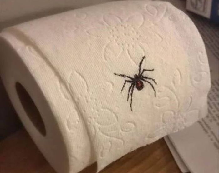 Next Level Halloween Pranks That Will Scare The Crap Out Of People