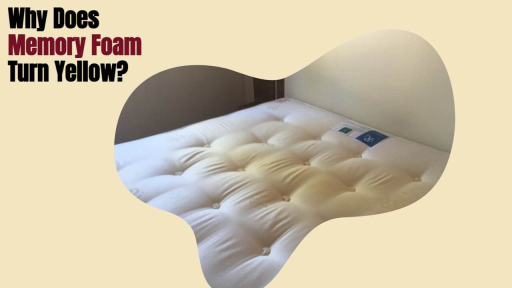 How To Glue Memory Foam? What Is the Best Memory Foam Glue?