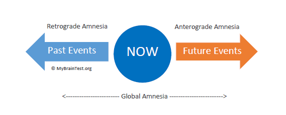 Types of Amnesia, Definitions MemoryHealthCheck