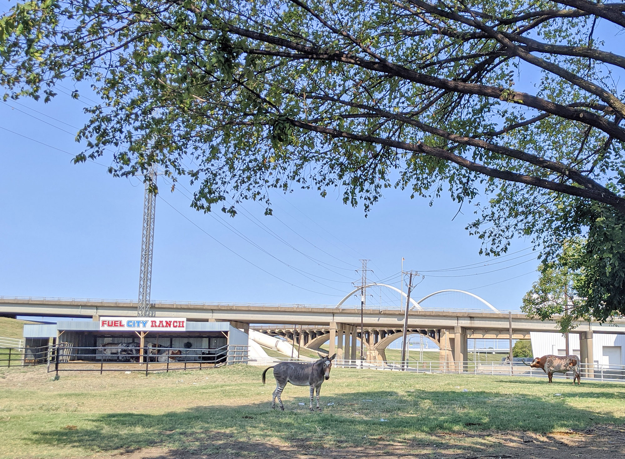 Fuel City Ranch Memos and Mirth