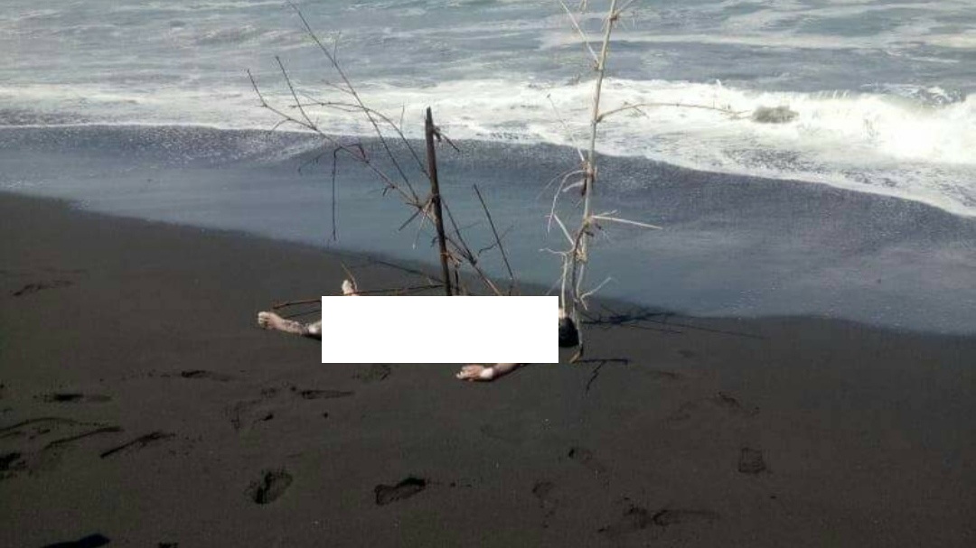 Mayat Tanpa Identitas Ditemukan di Pantai Pandanwangi - Memo Timur