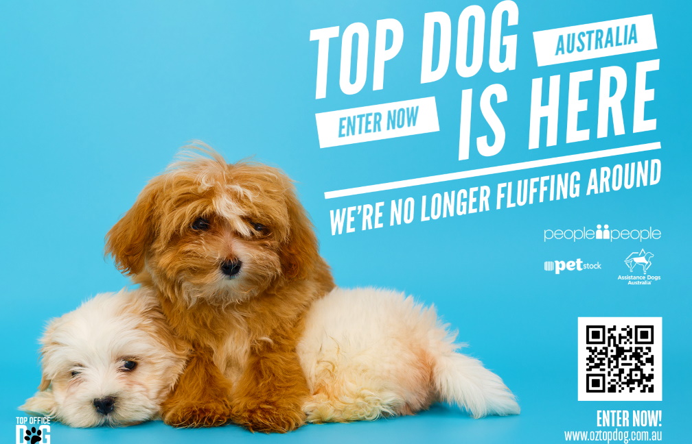 Top Dog & Office Dog Competition Coming to Australia