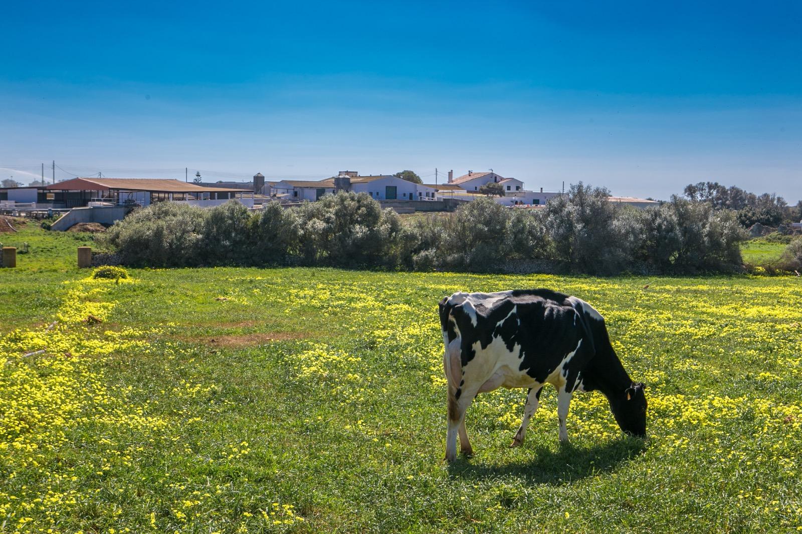 Así será la primavera que viene normal en lluvias pero más cálida