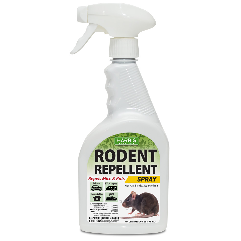 5 Best Rat Repellents Reviewed and Rated (Spring 2024)