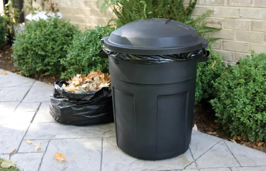 How to Get Rid of Crows A StepByStep Guide