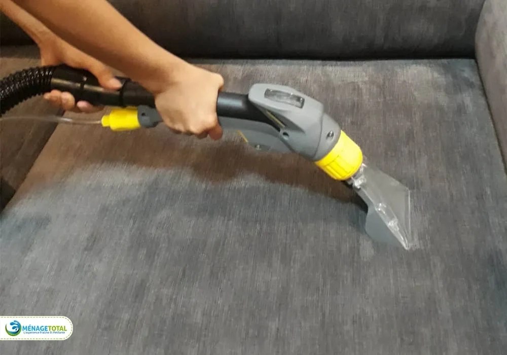 Professional Furniture Cleaning Services