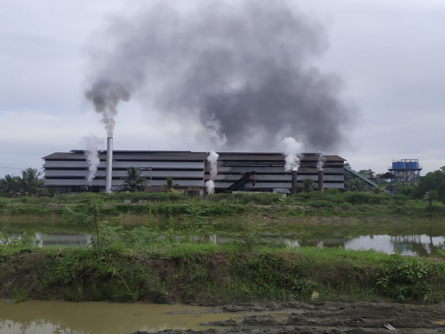 Kilang Minyak Sawit Baru Terungkap Memasok Minyak Sawit