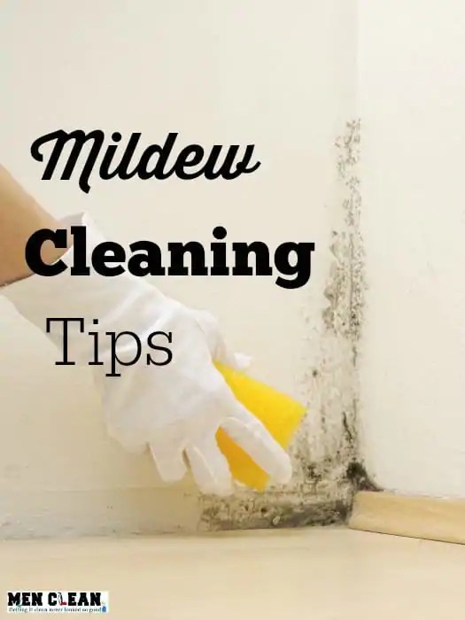 Mildew Cleaning Tips