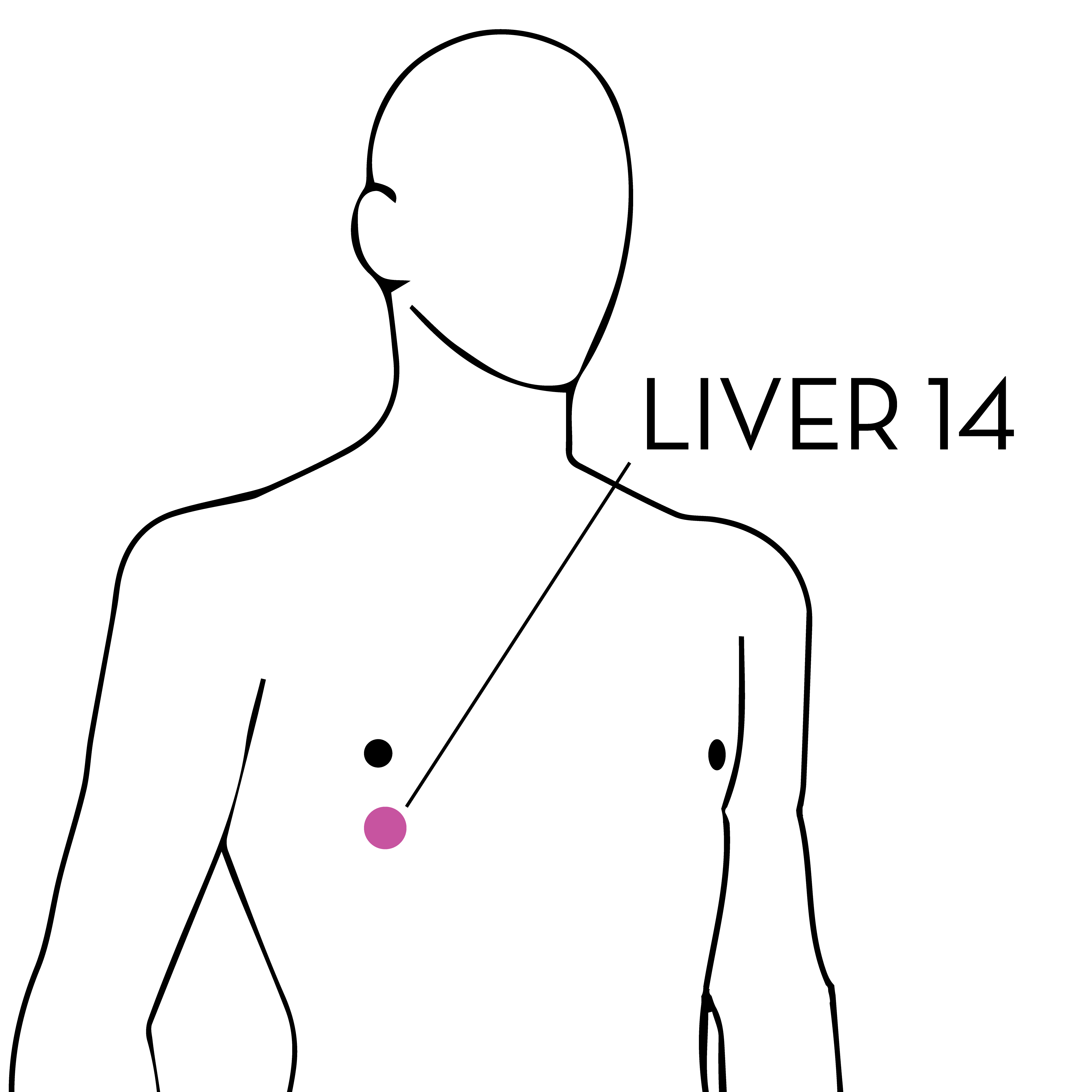 liver 14 Mend Acupuncture