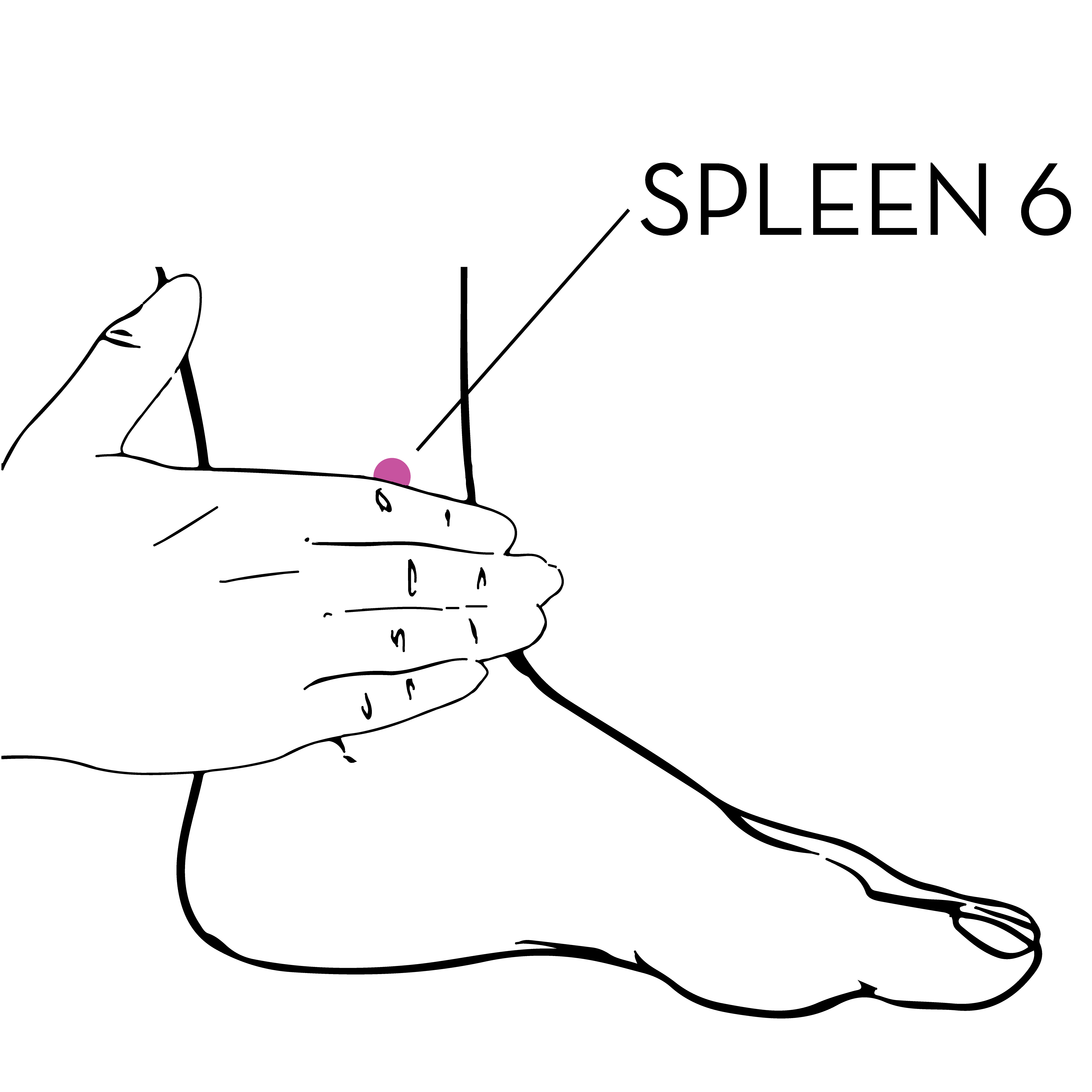 spleen 6 Mend Acupuncture