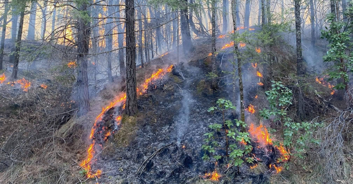 Mendocino National Forest Prepares for Fall and Winter Prescribed