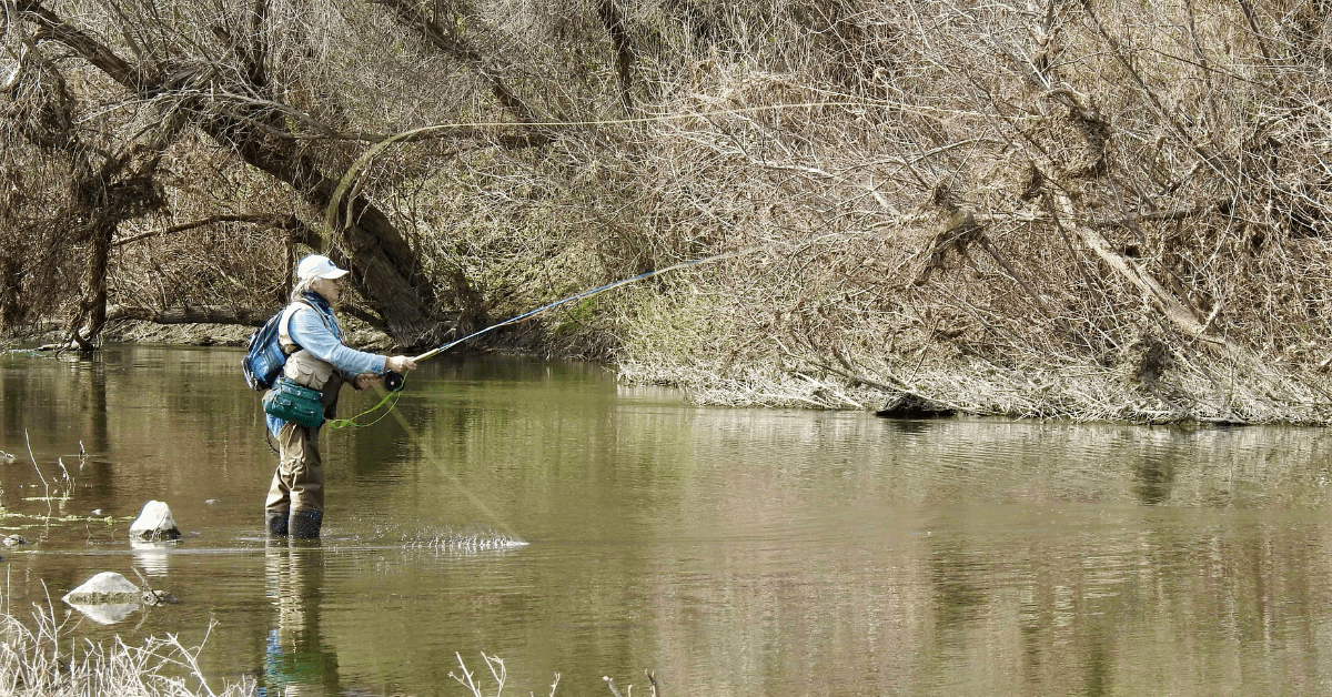 Annual Meeting About Habitat Projects that Benefit Threatened Fish in