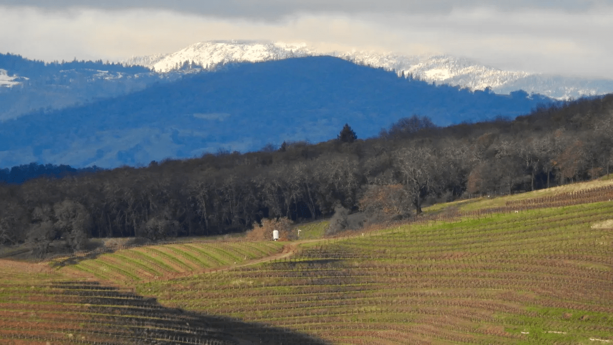 Recent Rains Force Wet Weather Trail Closure in Mendocino National