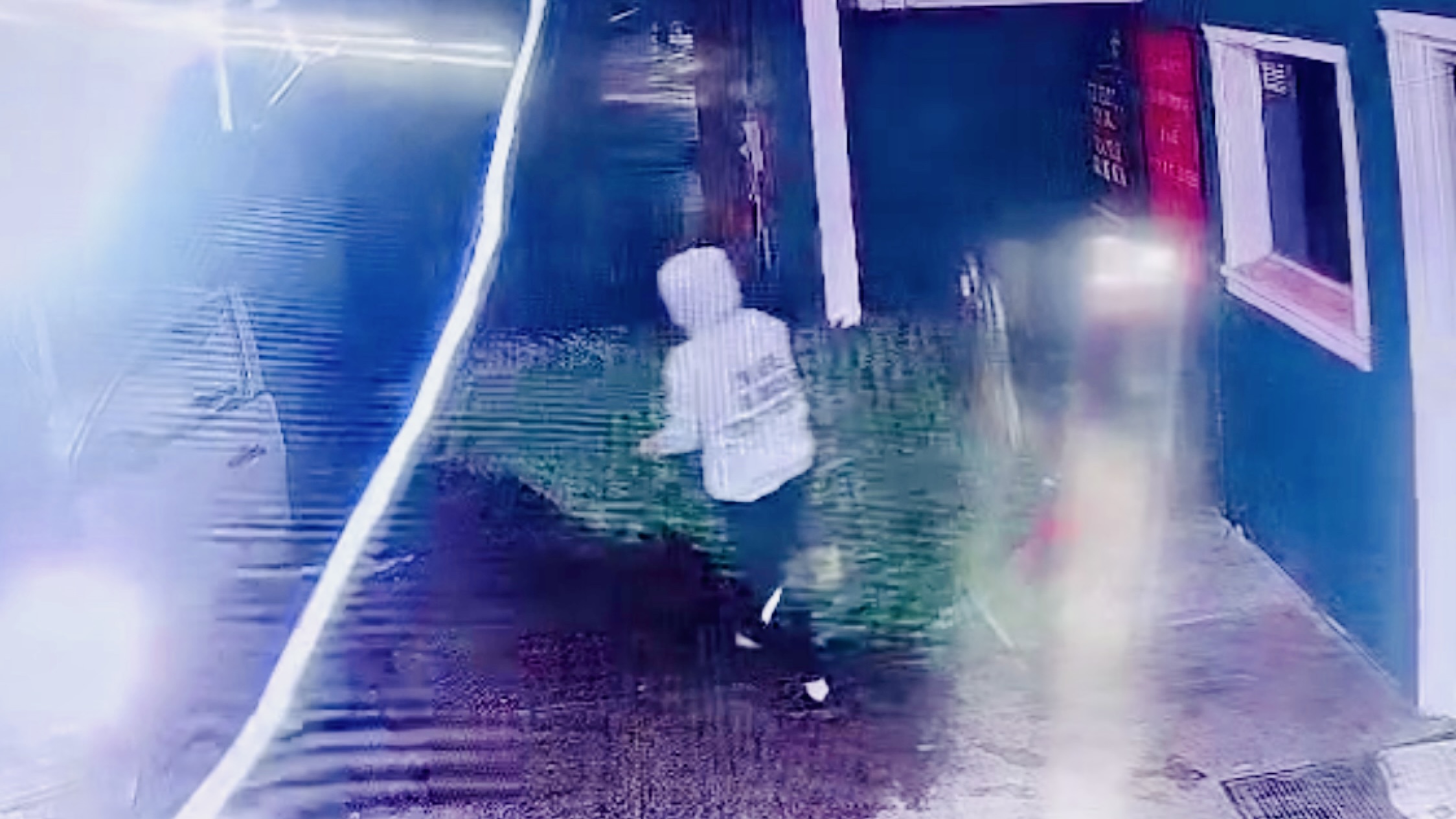 Surveillance Cameras Catch a Veritable Grinch Stealing a Christmas Tree