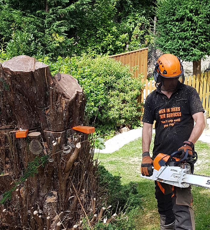 Gallery Isle of Wight Tree Surgery Men in Trees