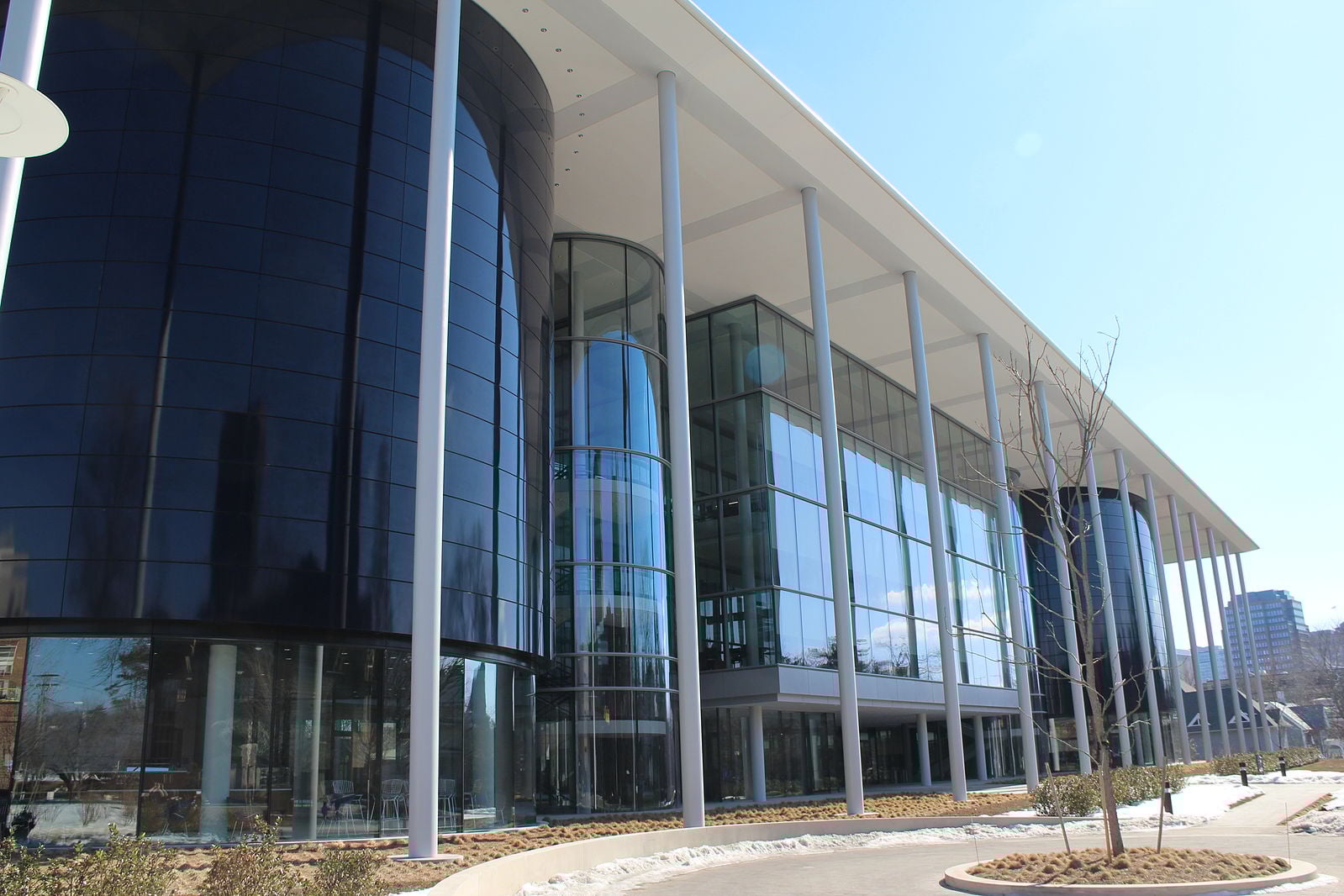 Yale School of Management MBA Program Guide