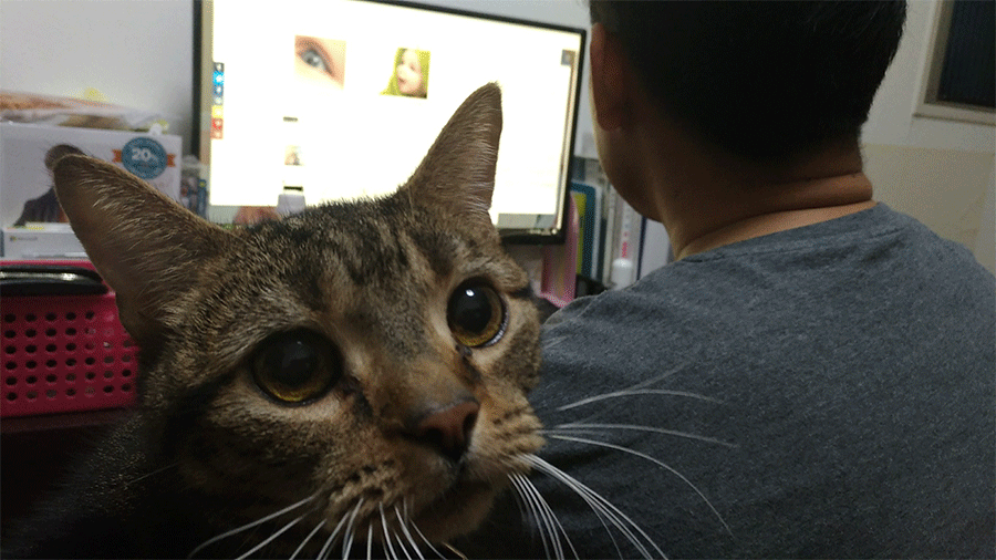 またもやウマイ店発見！麺屋三喜さん ｜ めのねん / MENONEN