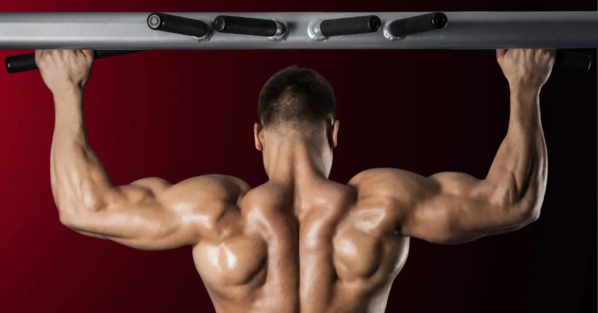 All About PullUps Muscles worked, benefits & how to start?