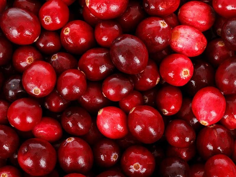 35 Fascinating Cranberries Facts