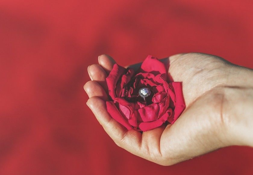 What Are the Different Metal Options for Your Wedding Rings? Mental Itch