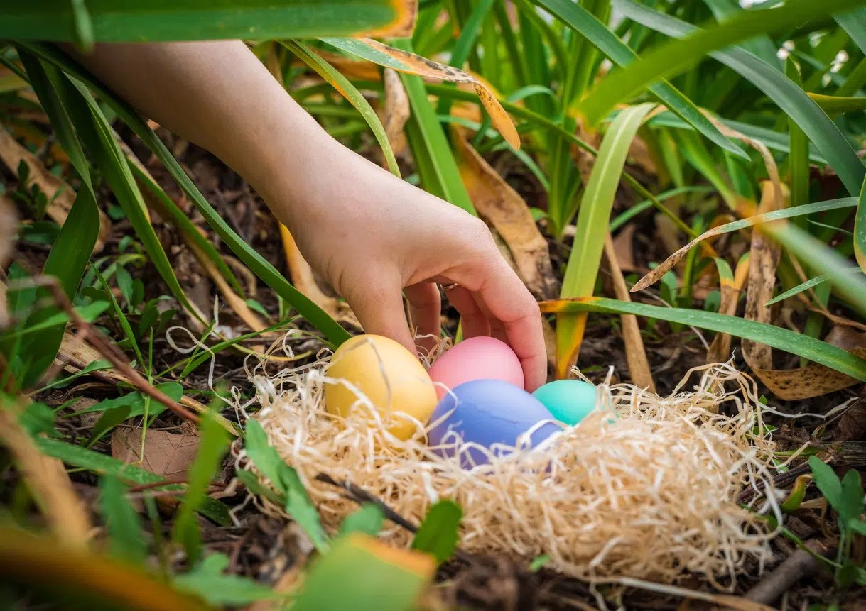 Easter Eggs Revealed Hidden Wonders in Video Games Mental Itch