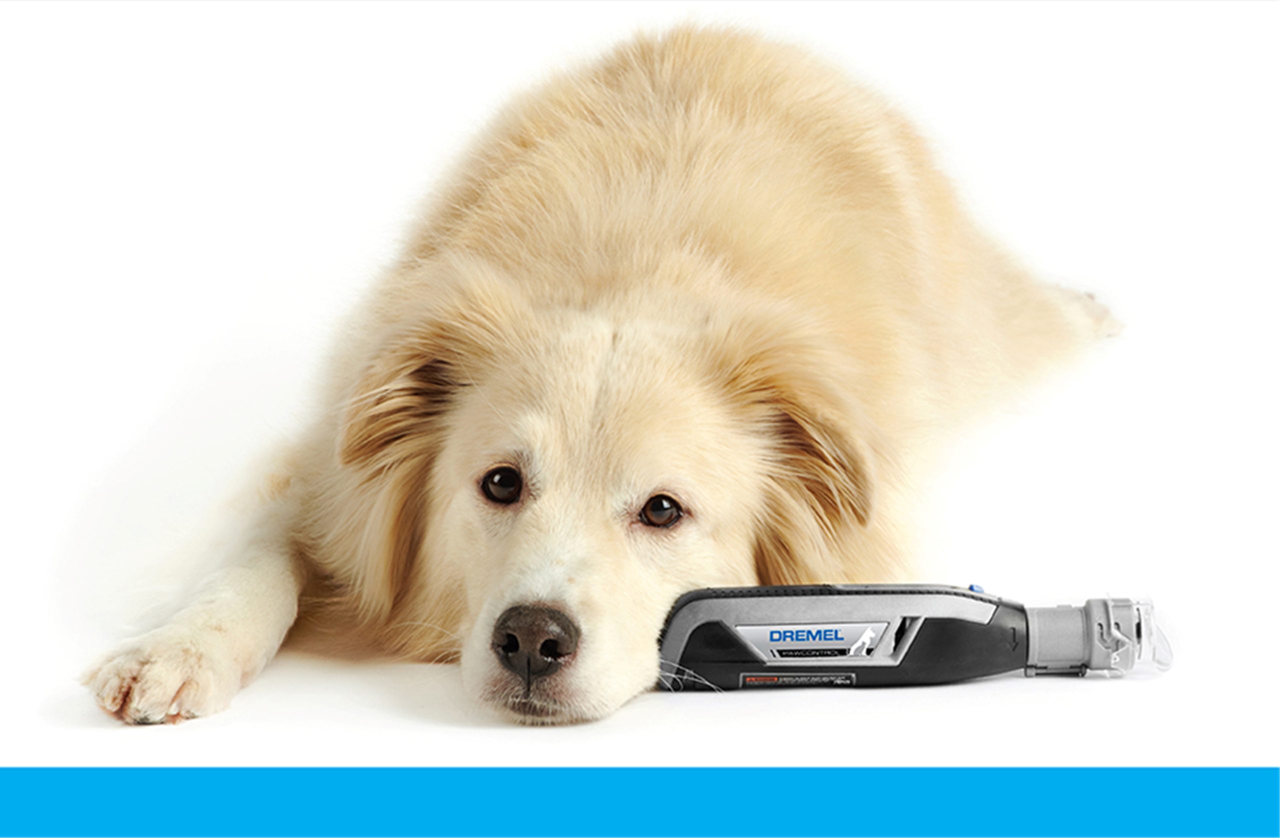 Dremel Paw Control vs Dremel 7350 - Men Tool Box