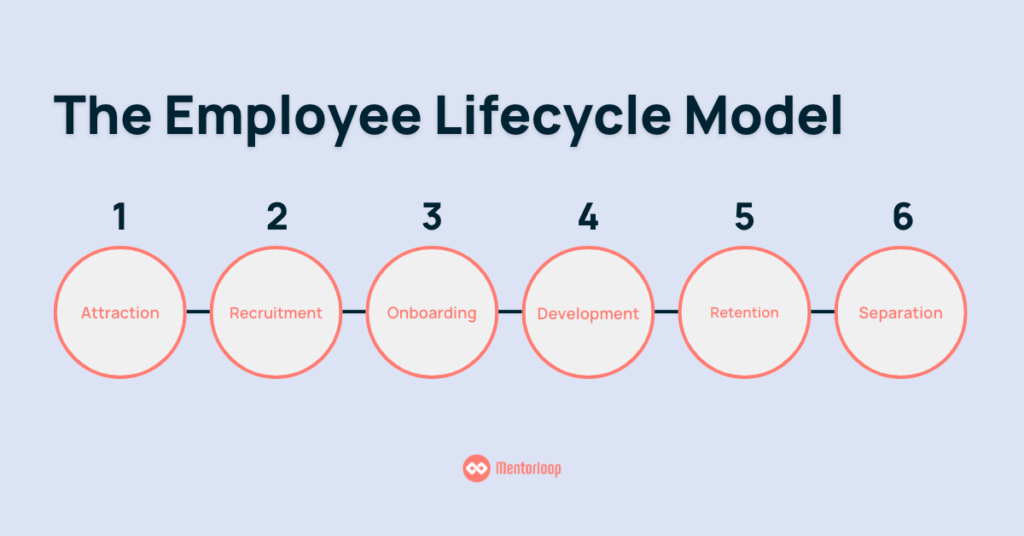 Mentoring for the 6 Stages of the Employee Lifecycle
