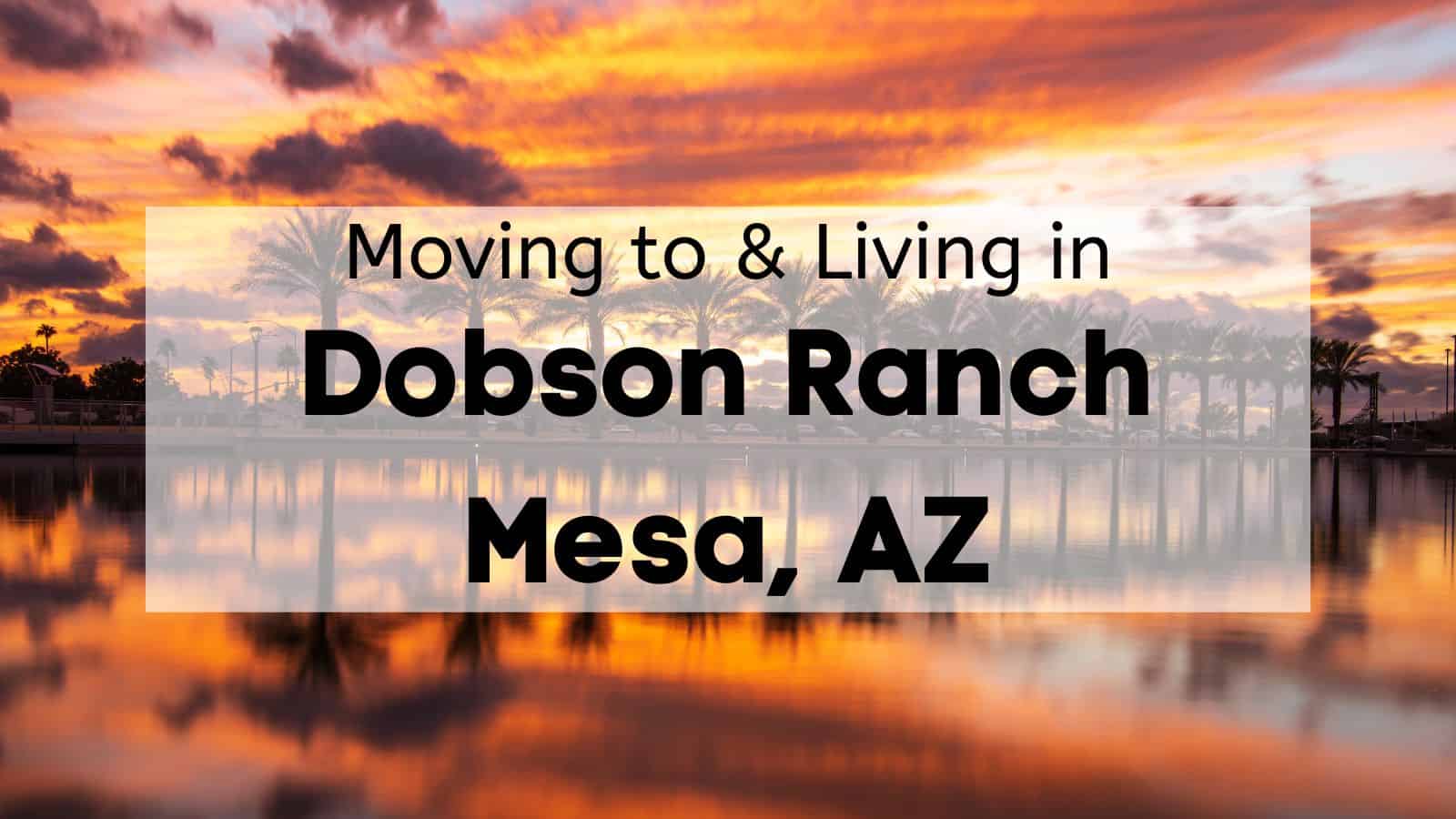 Living in Dobson Ranch 🏠 Restaurants, Things to Do, Where to Live in