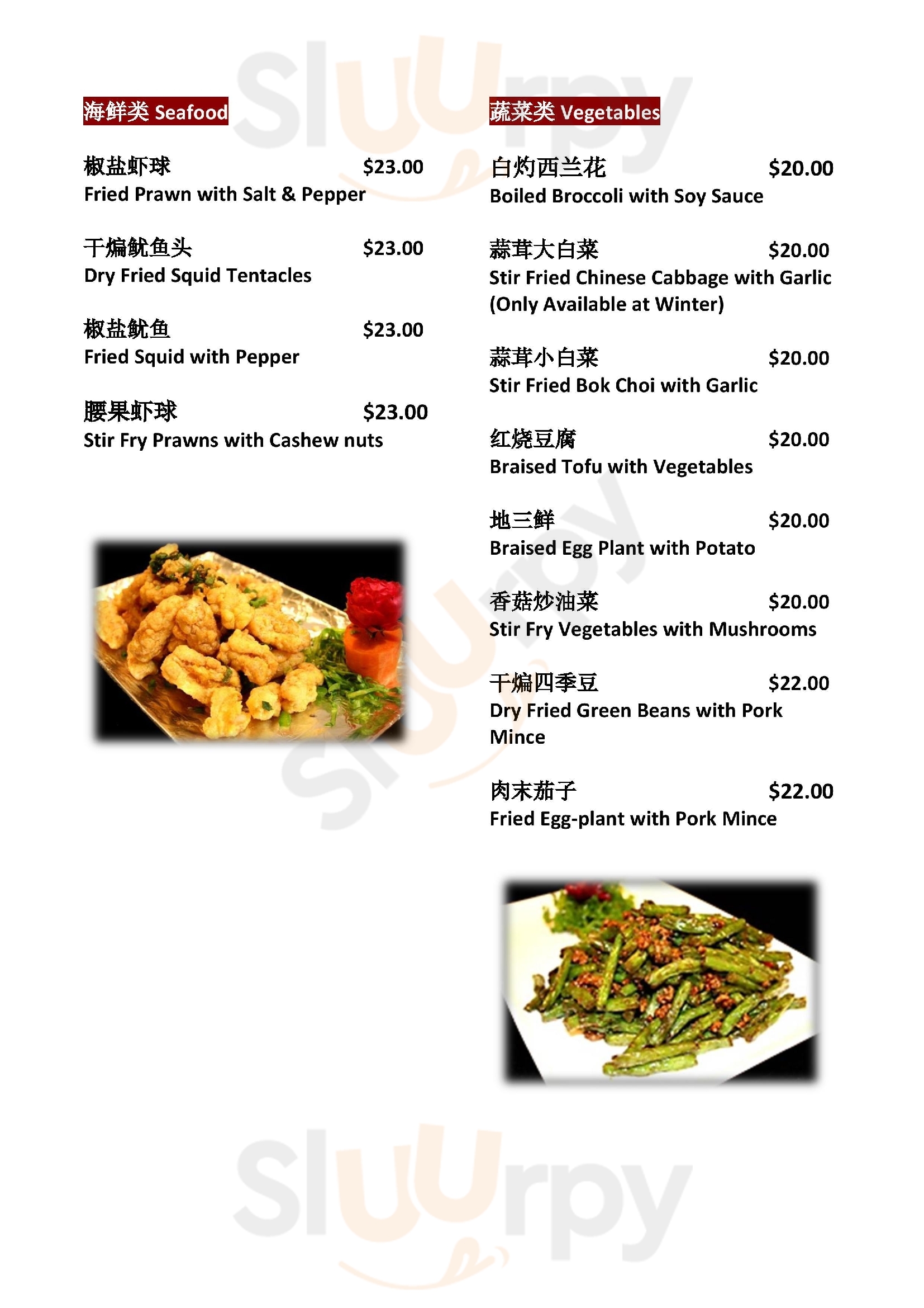 Noodles 'n Dumplings menù, Palmerston North Main Menu Sluurpy
