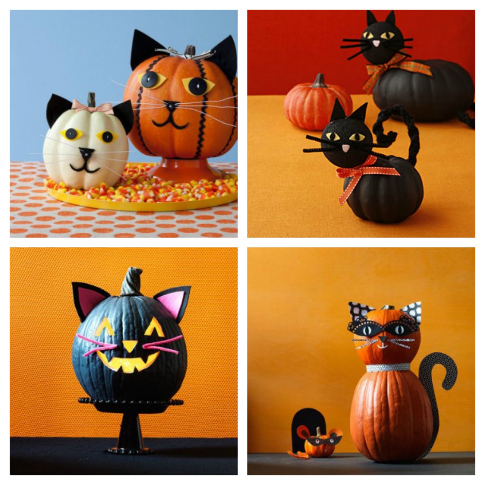 Creative & Fun Halloween Cat Pumpkins & Jackolanterns! Meow As Fluff