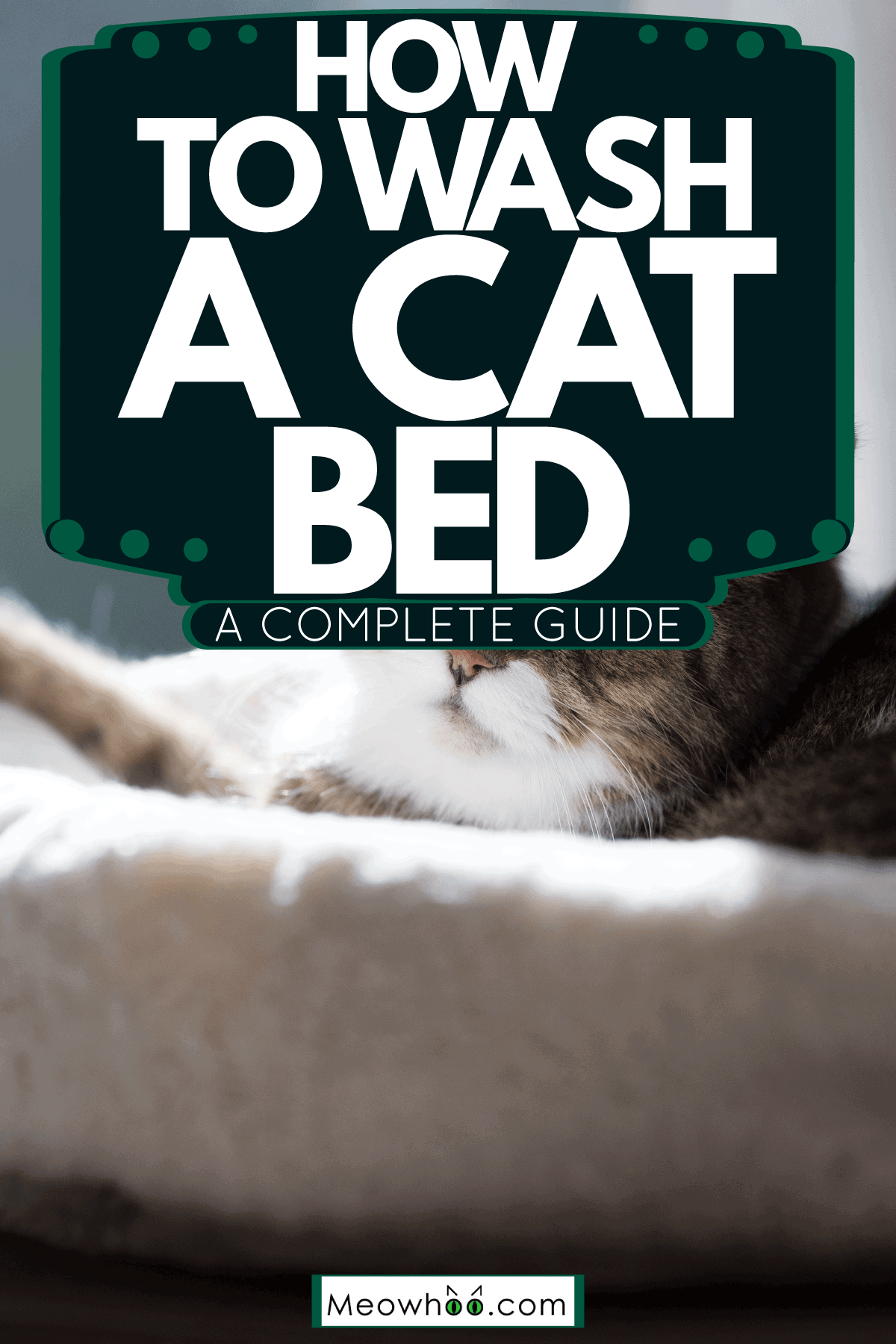 How To Wash A Cat Bed [A Complete Guide]