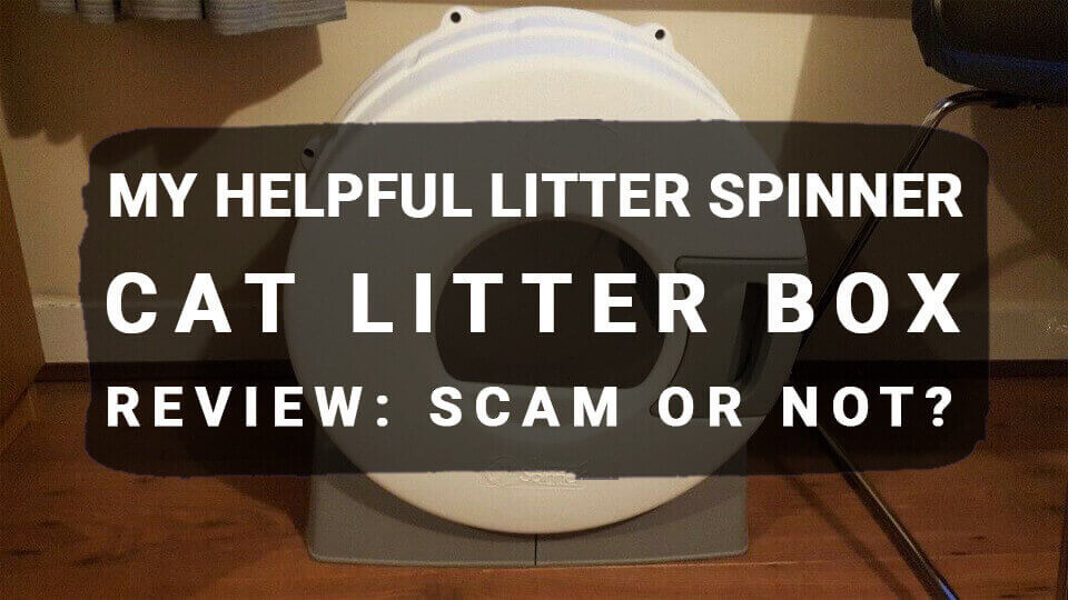 The LitterRobot Open Air Litter Box Review Worth It? Meowkai