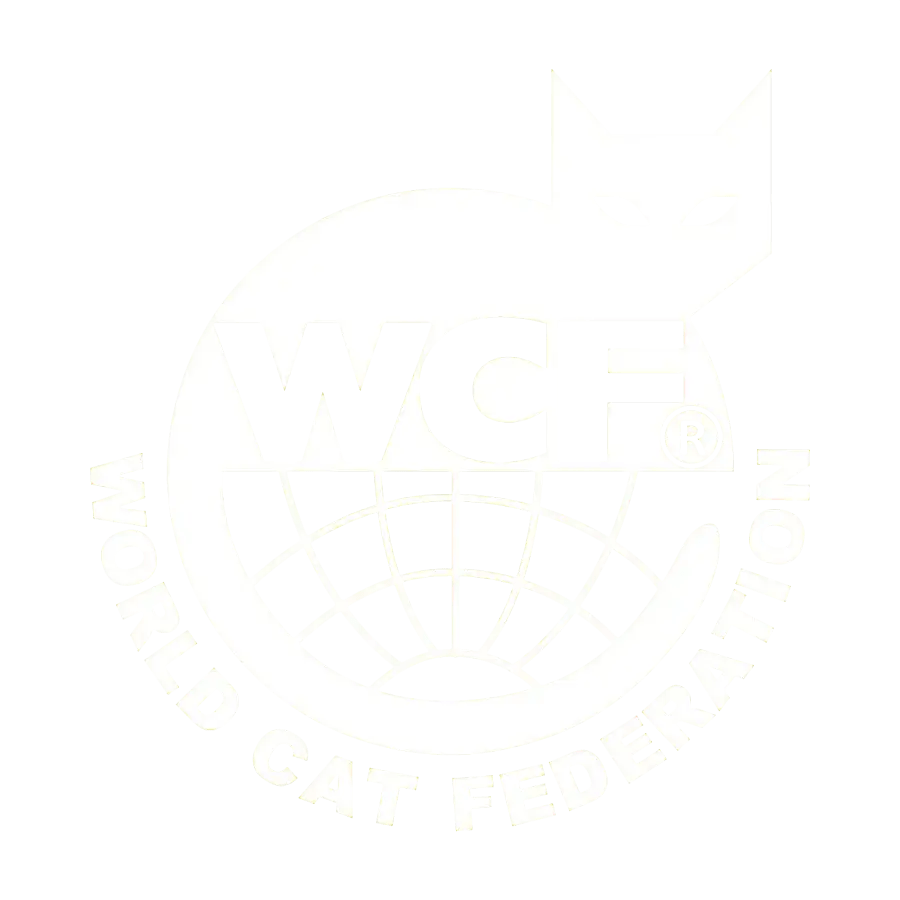 Pokahontas Maine Coon Female(Available) 2850 MeoWoff Kittens For