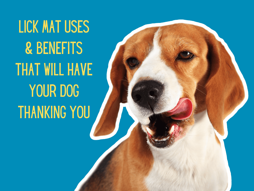 What Is A Dog Lick Mat? 5 Surprising Uses And Benefits