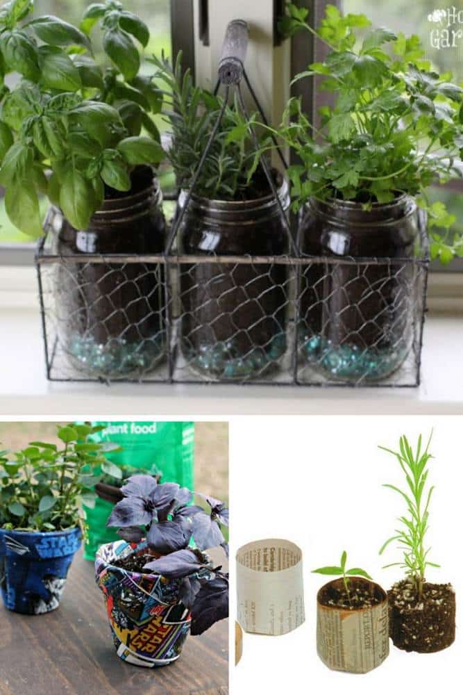 Home grown in containers 10+ Container Vegetable Gardening Ideas