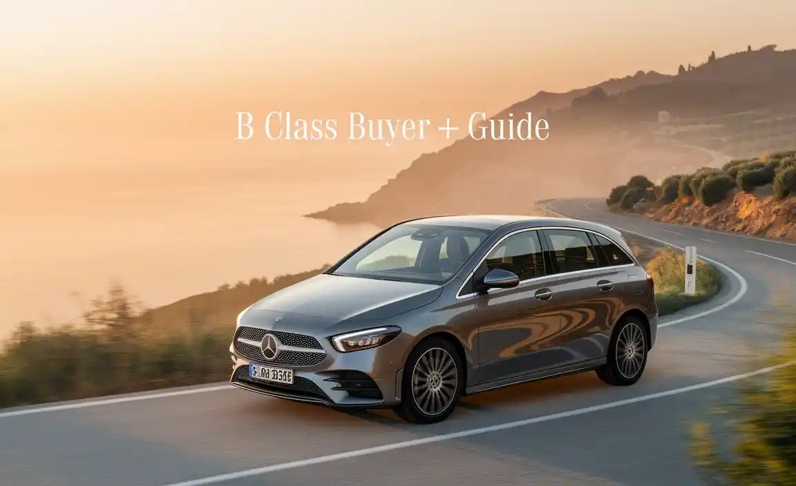 B Class Buyer Guide