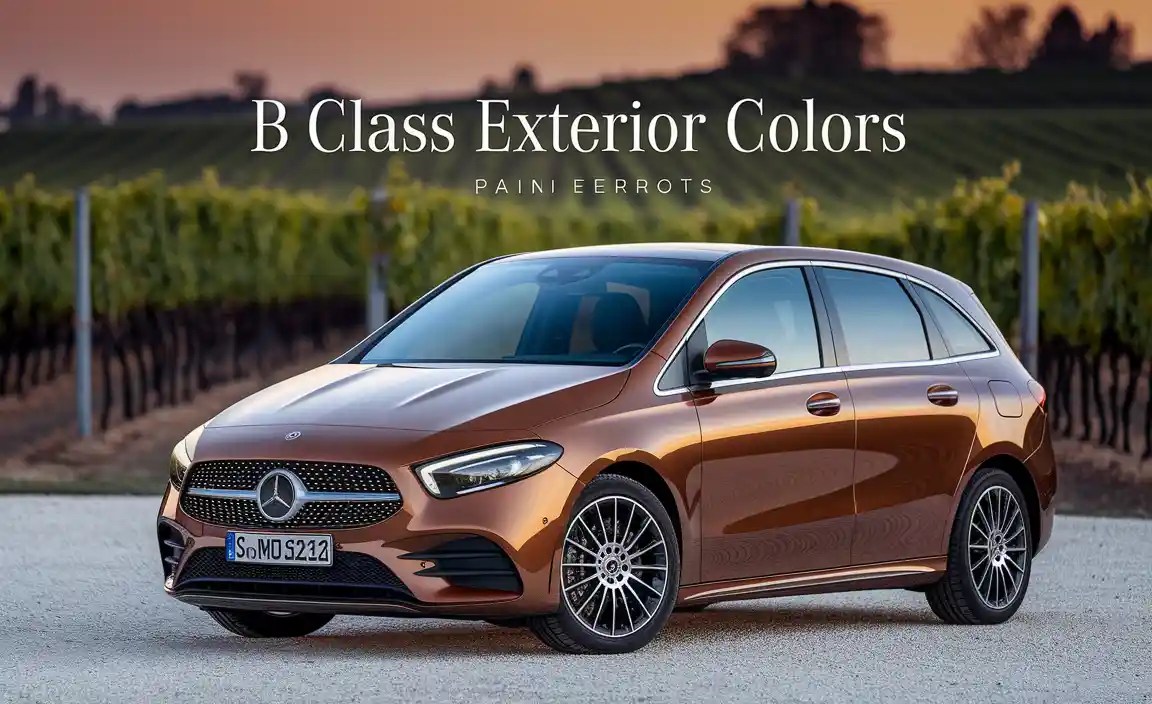 B Class Exterior Colors